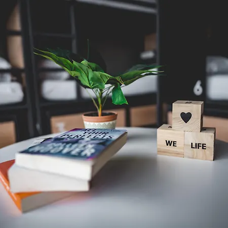 بيت شباب Generator